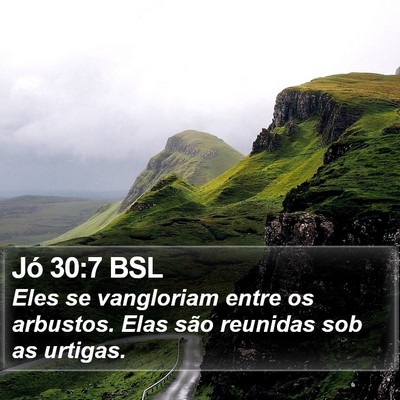 Jó 30:7 BSL Bible Verse Image