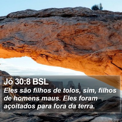 Jó 30:8 BSL Bible Verse Image