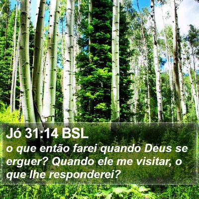 Jó 31:14 BSL Bible Verse Image