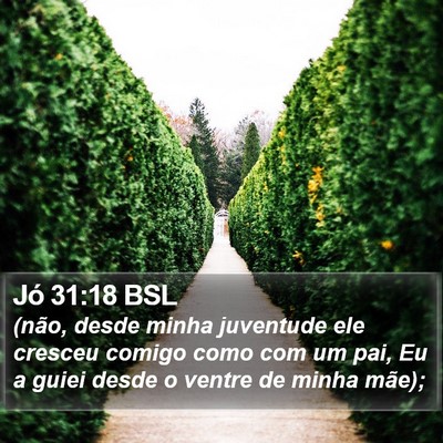 Jó 31:18 BSL Bible Verse Image