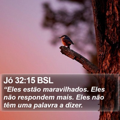 Jó 32:15 BSL Bible Verse Image