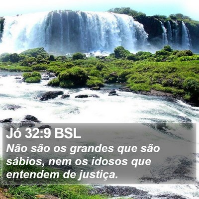 Jó 32:9 BSL Bible Verse Image