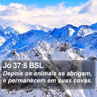 Jó 37:8 BSL Bible Verse Image