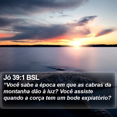 Jó 39:1 BSL Bible Verse Image