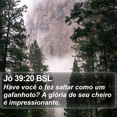 Jó 39:20 BSL Bible Verse Image