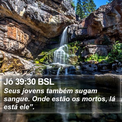 Jó 39:30 BSL Bible Verse Image