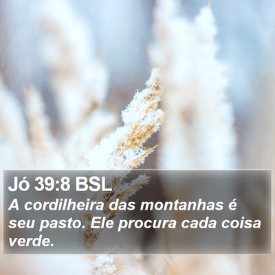 Jó 39:8 BSL Bible Verse Image