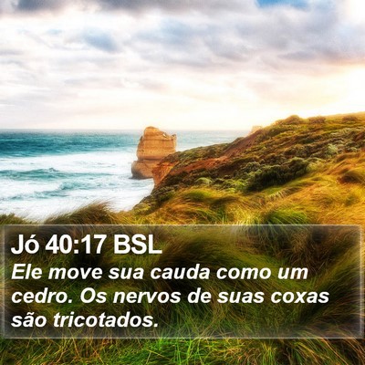 Jó 40:17 BSL Bible Verse Image