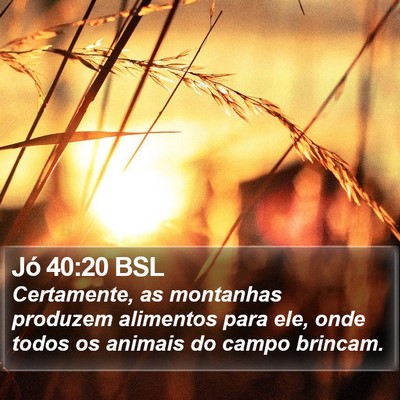 Jó 40:20 BSL Bible Verse Image