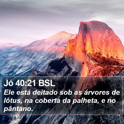 Jó 40:21 BSL Bible Verse Image