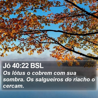 Jó 40:22 BSL Bible Verse Image