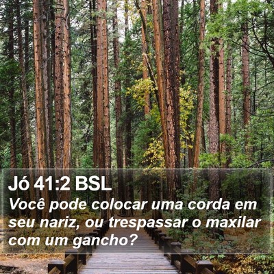 Jó 41:2 BSL Bible Verse Image