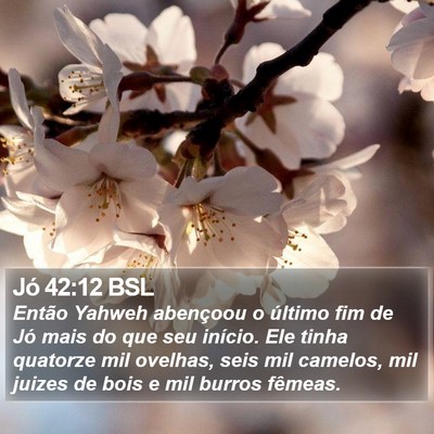 Jó 42:12 BSL Bible Verse Image