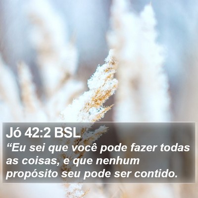 Jó 42:2 BSL Bible Verse Image