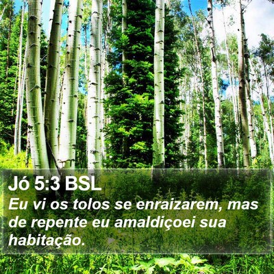 Jó 5:3 BSL Bible Verse Image