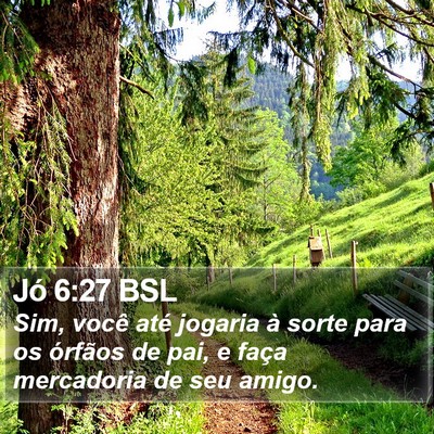 Jó 6:27 BSL Bible Verse Image