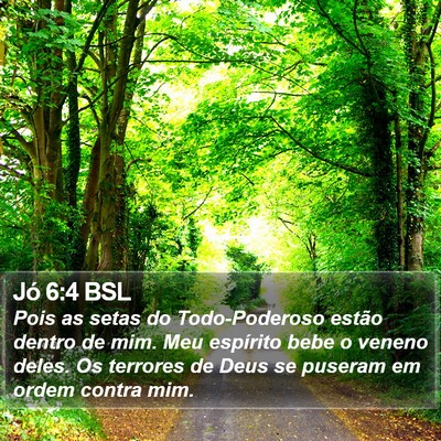 Jó 6:4 BSL Bible Verse Image