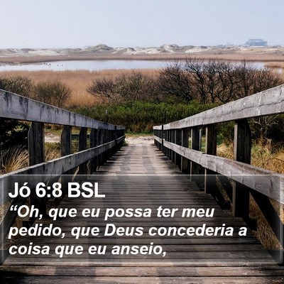Jó 6:8 BSL Bible Verse Image