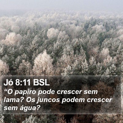 Jó 8:11 BSL Bible Verse Image