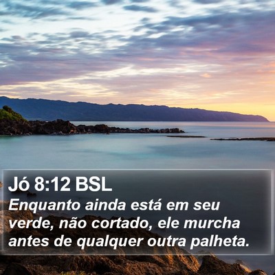 Jó 8:12 BSL Bible Verse Image