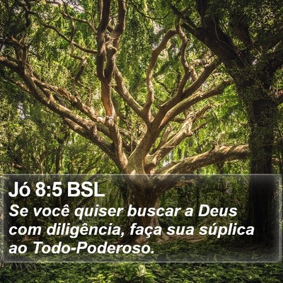 Jó 8:5 BSL Bible Verse Image
