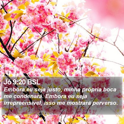 Jó 9:20 BSL Bible Verse Image