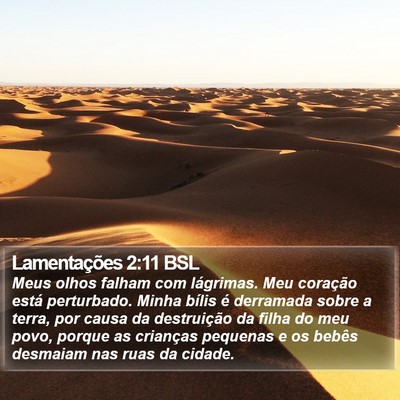 Lamentações 2:11 BSL Bible Verse Image