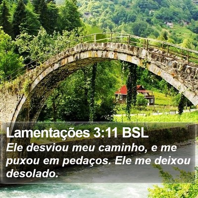 Lamentações 3:11 BSL Bible Verse Image