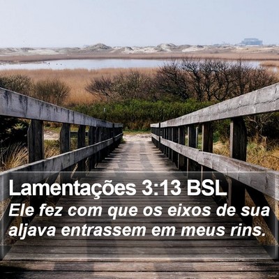 Lamentações 3:13 BSL Bible Verse Image