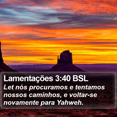 Lamentações 3:40 BSL Bible Verse Image