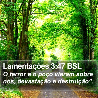 Lamentações 3:47 BSL Bible Verse Image