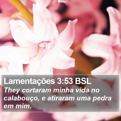 Lamentações 3:53 BSL Bible Verse Image