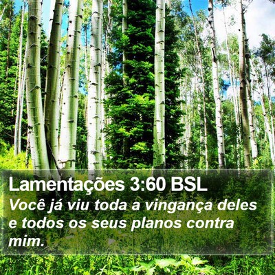 Lamentações 3:60 BSL Bible Verse Image