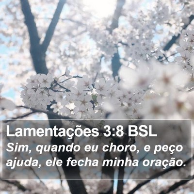 Lamentações 3:8 BSL Bible Verse Image