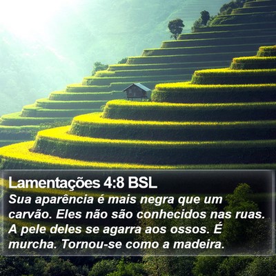 Lamentações 4:8 BSL Bible Verse Image