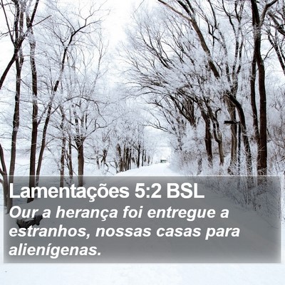 Lamentações 5:2 BSL Bible Verse Image