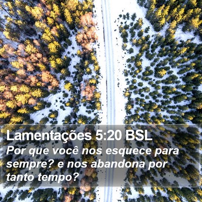 Lamentações 5:20 BSL Bible Verse Image