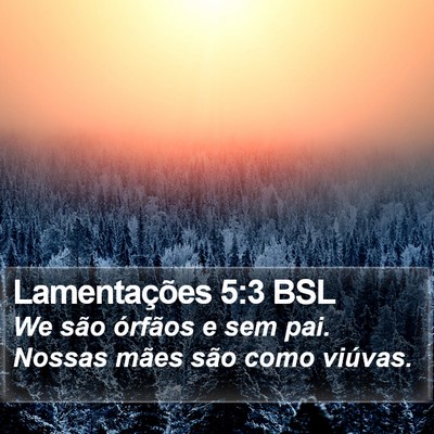 Lamentações 5:3 BSL Bible Verse Image