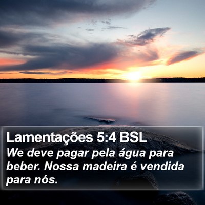 Lamentações 5:4 BSL Bible Verse Image