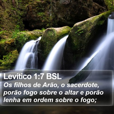 Levítico 1:7 BSL Bible Verse Image