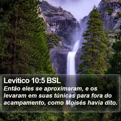 Levítico 10:5 BSL Bible Verse Image