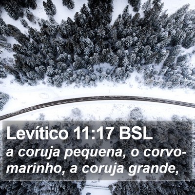 Levítico 11:17 BSL Bible Verse Image