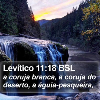 Levítico 11:18 BSL Bible Verse Image