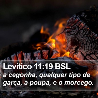 Levítico 11:19 BSL Bible Verse Image
