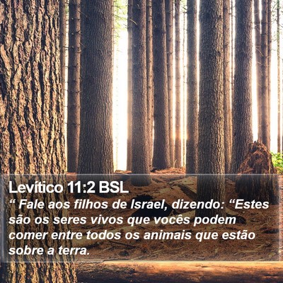 Levítico 11:2 BSL Bible Verse Image