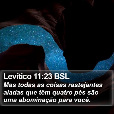 Levítico 11:23 BSL Bible Verse Image