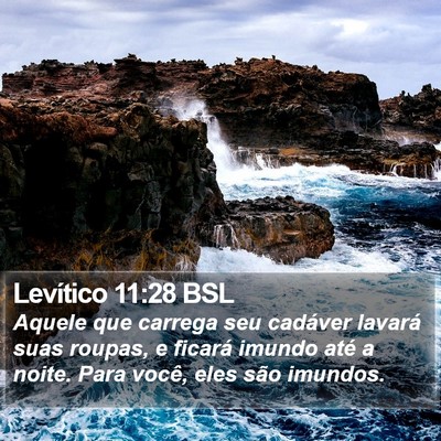 Levítico 11:28 BSL Bible Verse Image