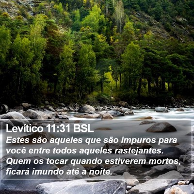 Levítico 11:31 BSL Bible Verse Image