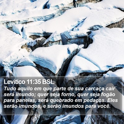 Levítico 11:35 BSL Bible Verse Image