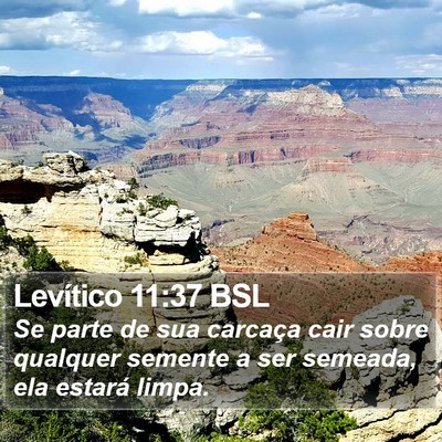Levítico 11:37 BSL Bible Verse Image